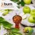 Заказать кальянный табак Burn Famous Apple (Берн Яблоко) 100г онлайн с доставкой всей России фото - 2